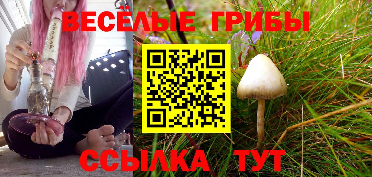 Псилоцибиновые грибы ЛСД  Вход с VPN  Галлюциногенные грибы Psilocybe  Новомосковск 